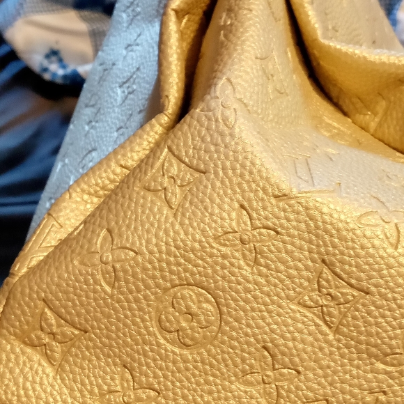 Louis Vuitton Gold Women's Bag - Picture 3 of 8